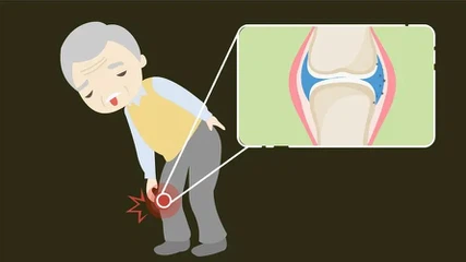 Gentamycin Sulfate uses Gentamycin Sulfate uses