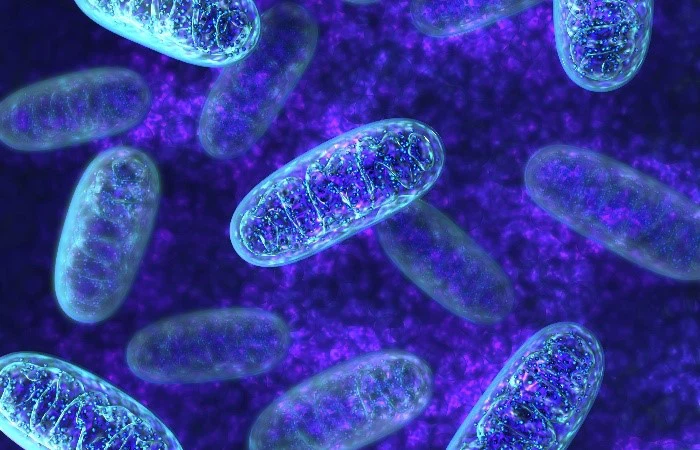 SLU-PP-332 | Shaanxi BLOOM Tech Co., Ltd SLU-PP-332 | Shaanxi BLOOM Tech Co., Ltd