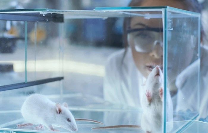 SLU-PP-332 | Shaanxi BLOOM Tech Co., Ltd SLU-PP-332 | Shaanxi BLOOM Tech Co., Ltd