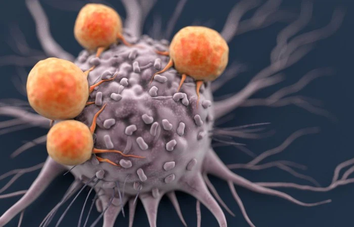 Digitonin Anti Cancer Effect | Shaanxi BLOOM Tech Co., Ltd Digitonin Anti Cancer Effect | Shaanxi BLOOM Tech Co., Ltd