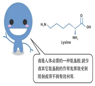 Yak bone marrow peptide Multivariate free amino | Shaanxi BLOOM Tech Co., Ltd Yak bone marrow peptide Multivariate free amino | Shaanxi BLOOM Tech Co., Ltd