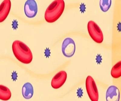 Yak bone marrow peptide Supply | Shaanxi BLOOM Tech Co., Ltd Yak bone marrow peptide Supply | Shaanxi BLOOM Tech Co., Ltd